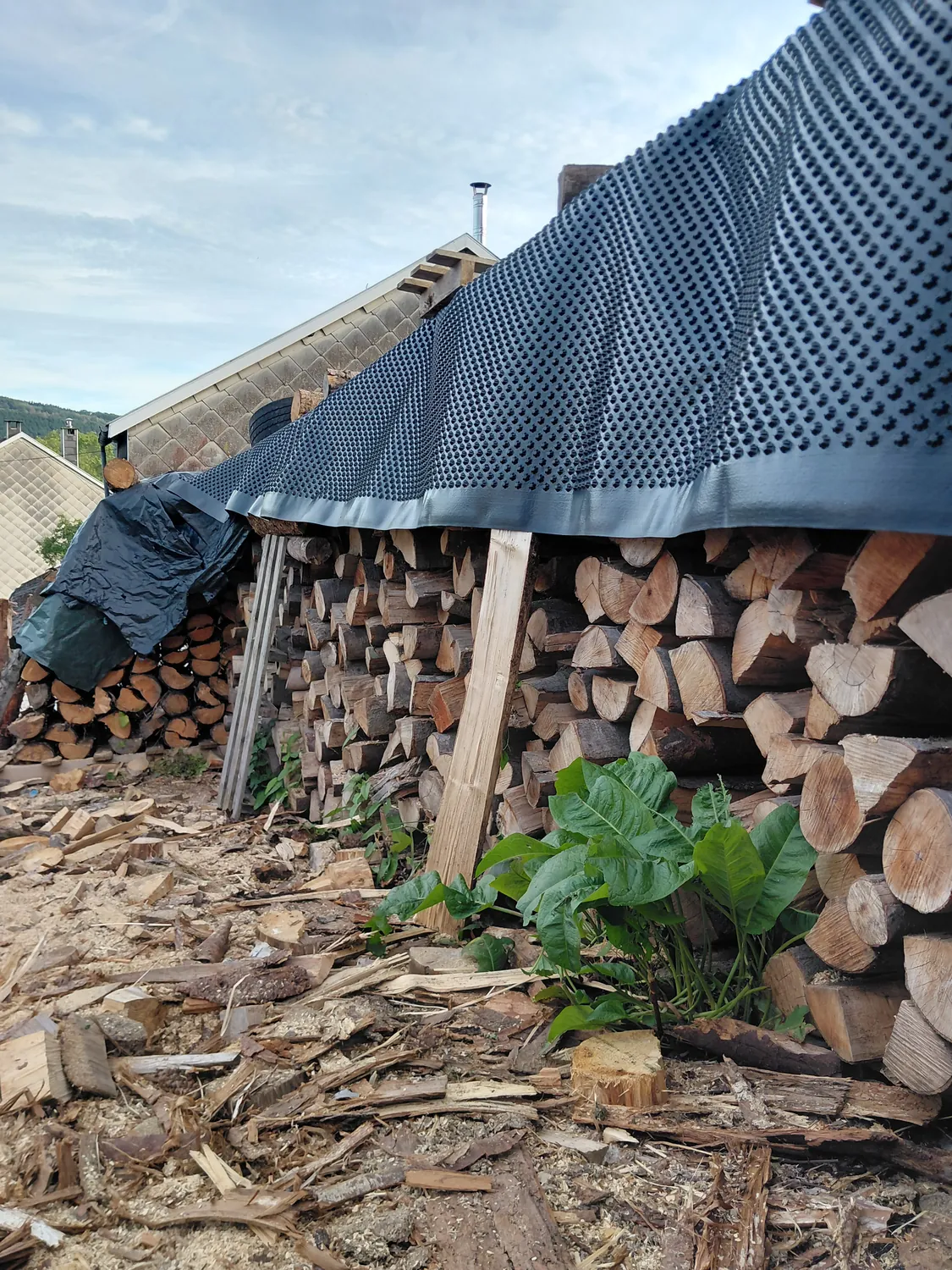 Bois de chauffage feuillus
