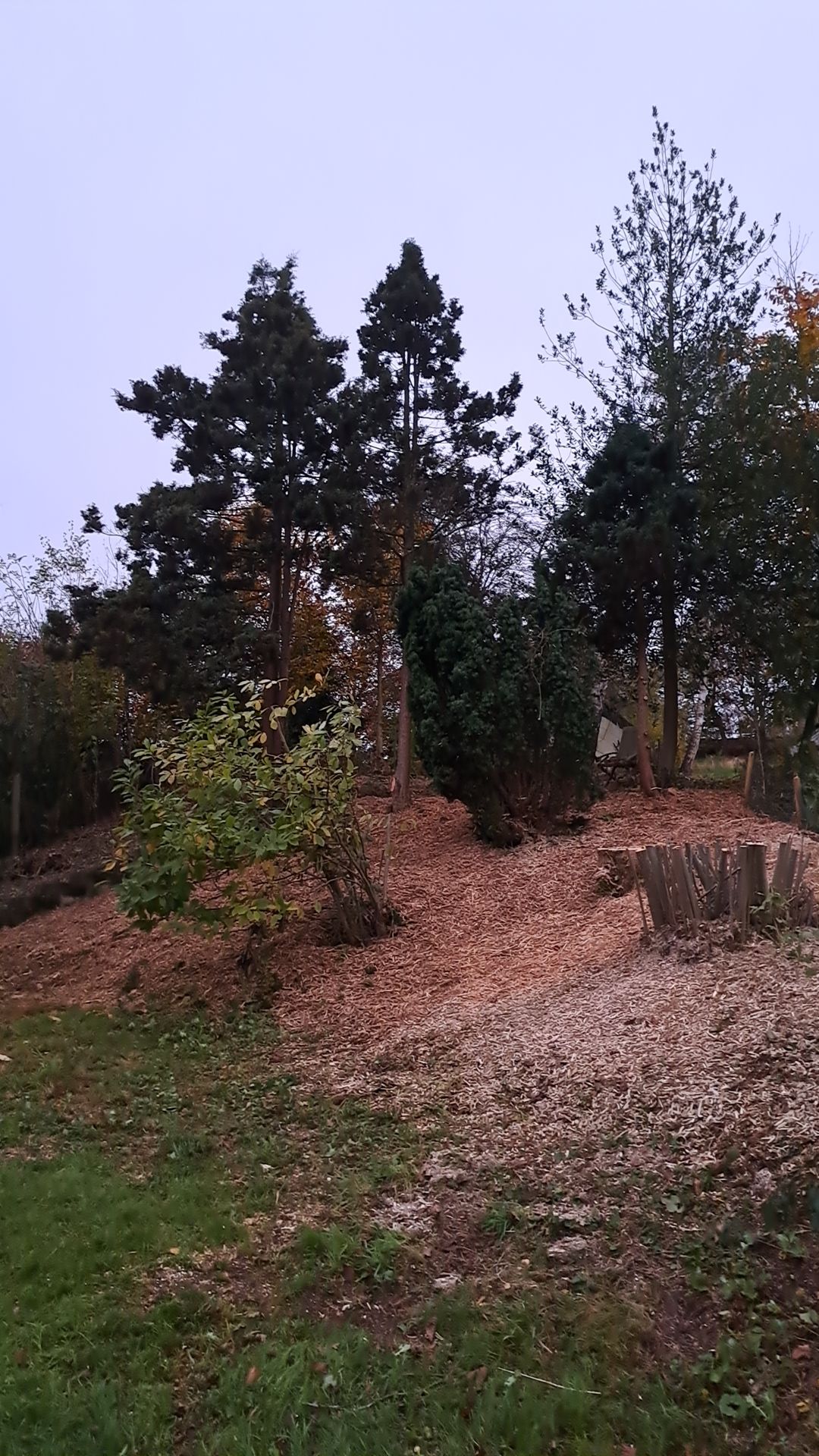 Réalisation de travaux forestiers par Boisonitte