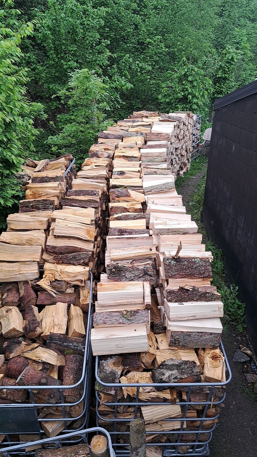 Réalisation de travaux forestiers par Boisonitte